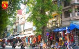 Tràn ngập đồ chơi 